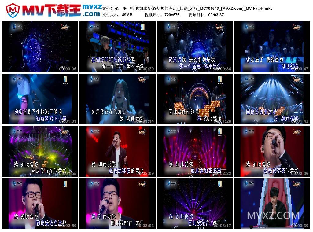 许一鸣-我如此爱你(梦想的声音)_国语_流行_MC701643